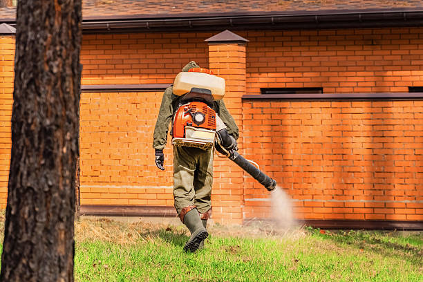 Trusted Emergency Pest Control service in Buffalo Grove, IL - Nex Pest Control
